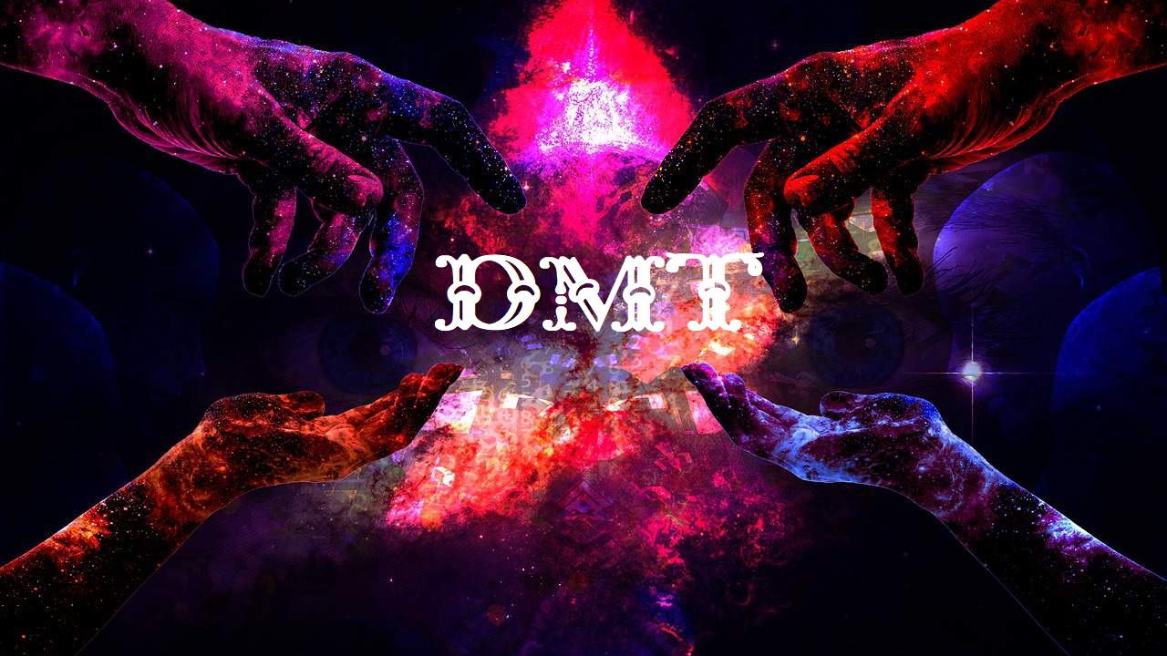 dmt-psychedelic-sponge3